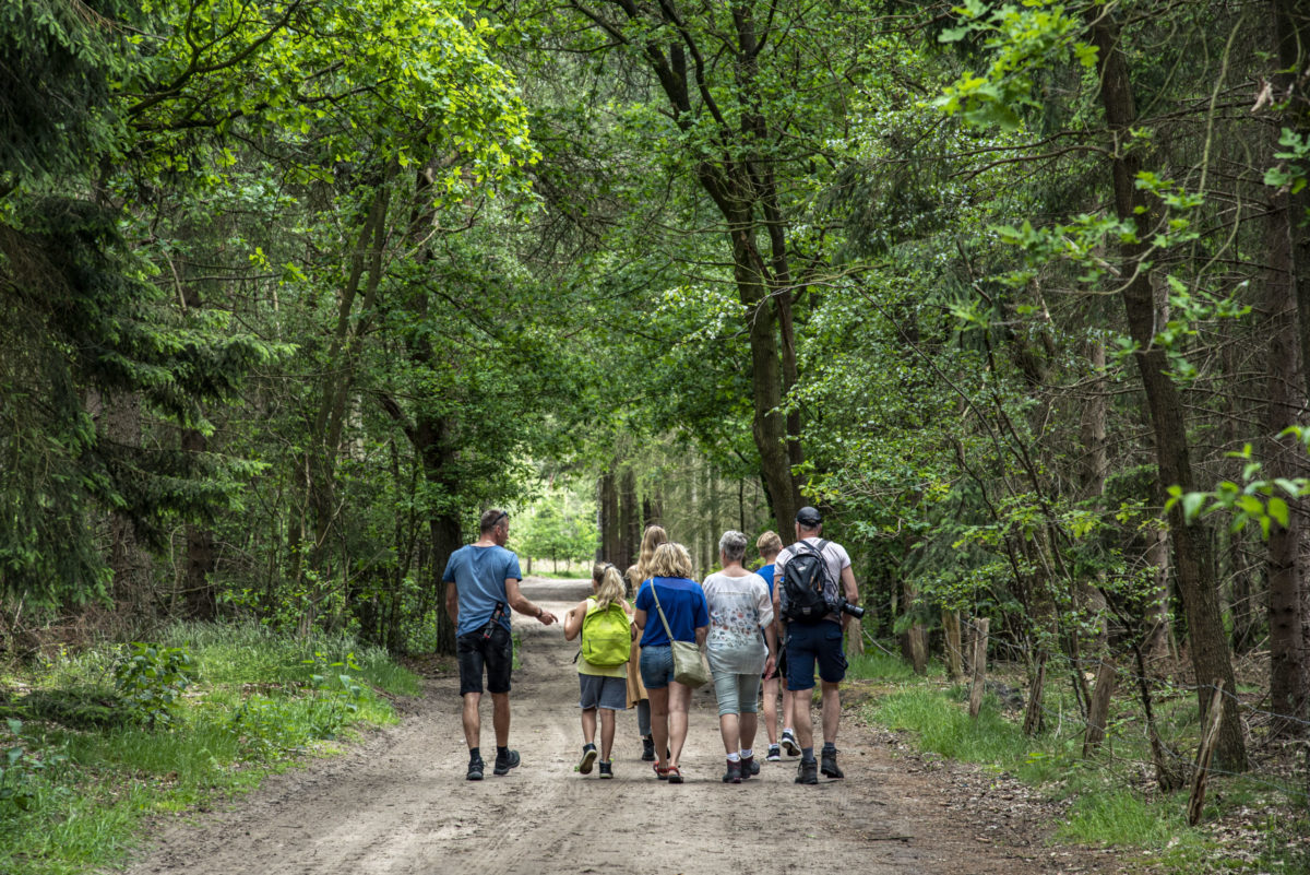 wandelen lutterzand